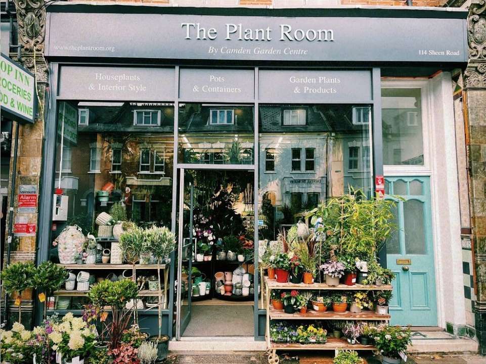 The Plant Room Richmond Store Shop