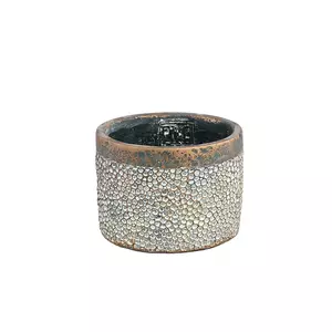 Gino Gold cement pot scaled pattern gold border M