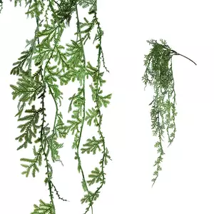 Leaves Plant green fern hanging spray