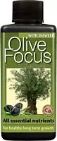 Olive Focus     300 ml
