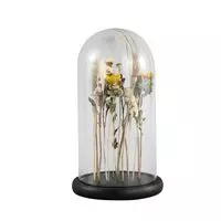 Rossa clear glass bell jar with dried flowers