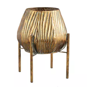 Zebby Gold iron pot with zebra design on base high